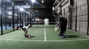 ball striking padel